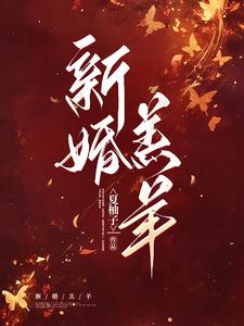 新婚羔羊章节列表